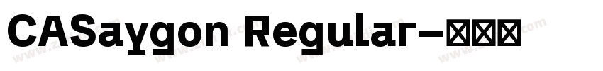 CASaygon Regular字体转换